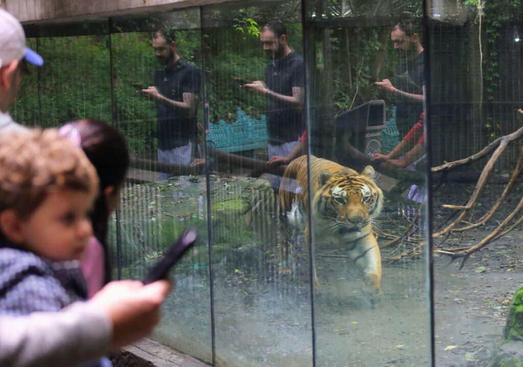 Zoológico Chapultepec: PETA denuncia maltrato animal Zoológico Chapultepec: PETA denuncia maltrato animal