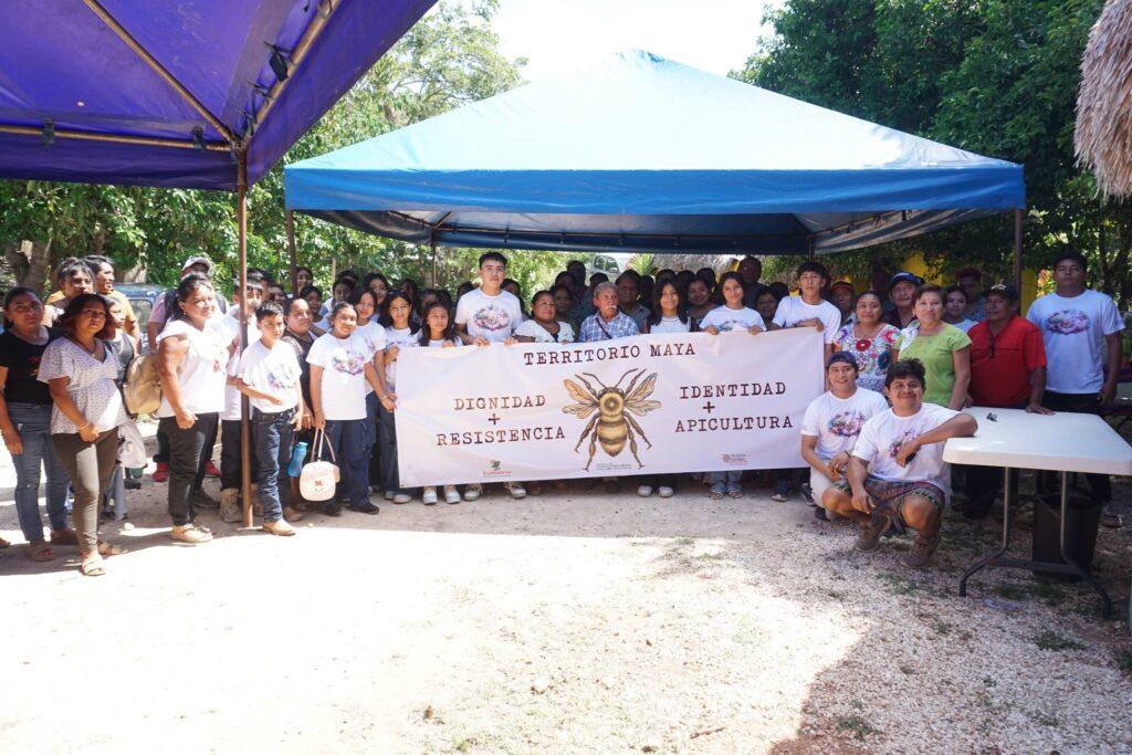 Comunidades mayas ganan amparo que ordena protegerlas de plaguicidas Comunidades mayas ganan amparo que ordena protegerlas de plaguicidas