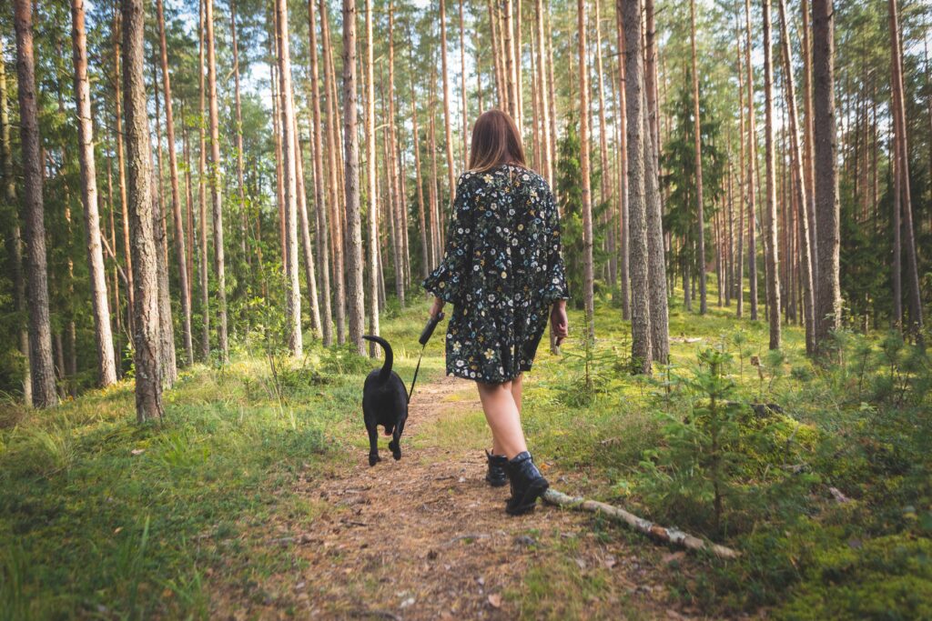 Adminístrense 500 mg de bosque + 125 mg de río: ¿qué es la ‘receta social verde’?