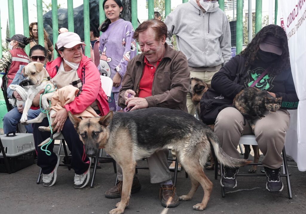 Senado aprueba Ley de Protección Animal
