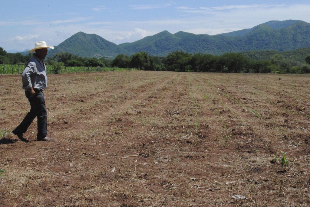 Sequía golpea a Chiapas,  Oaxaca y Guerrero: campesinos exigen declaratoria de desastre