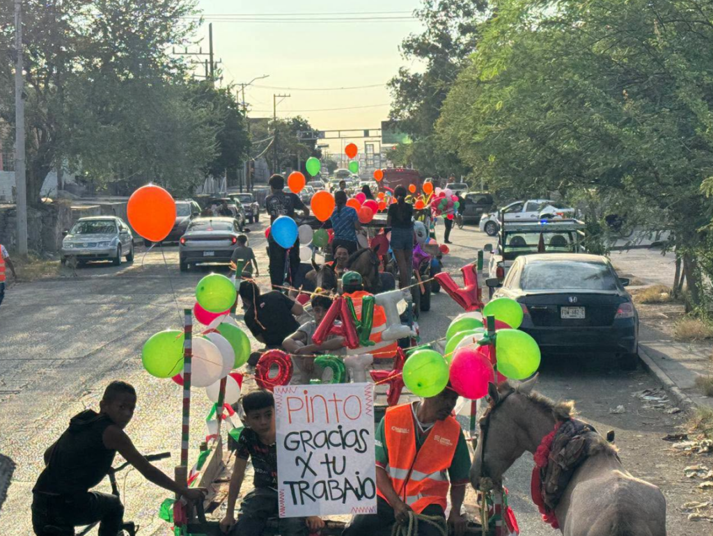 En Torreón, se “jubilan” 130 caballos, burros y mulas En Torreón, se “jubilan” 130 caballos, burros y mulas