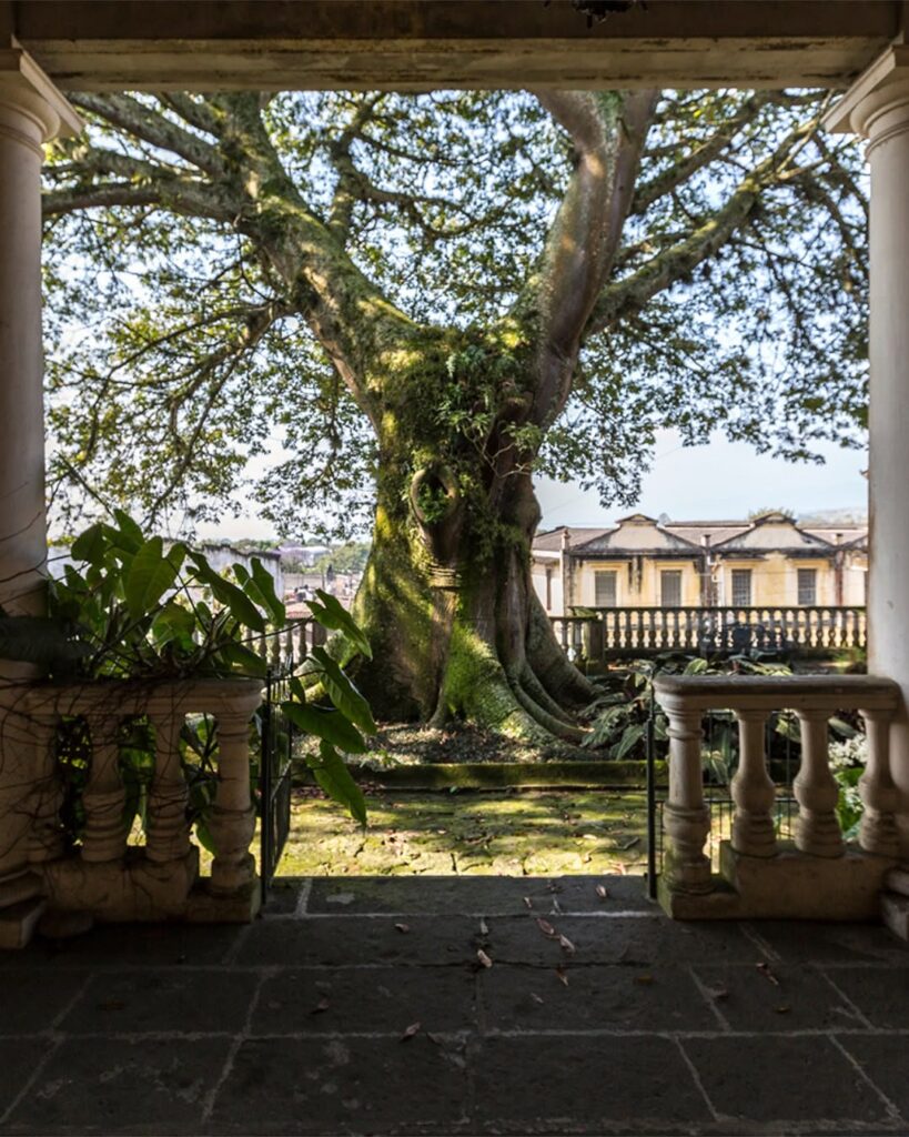 Manos a la piedra: dos décadas de La Ceiba Gráfica Manos a la piedra: dos décadas de La Ceiba Gráfica