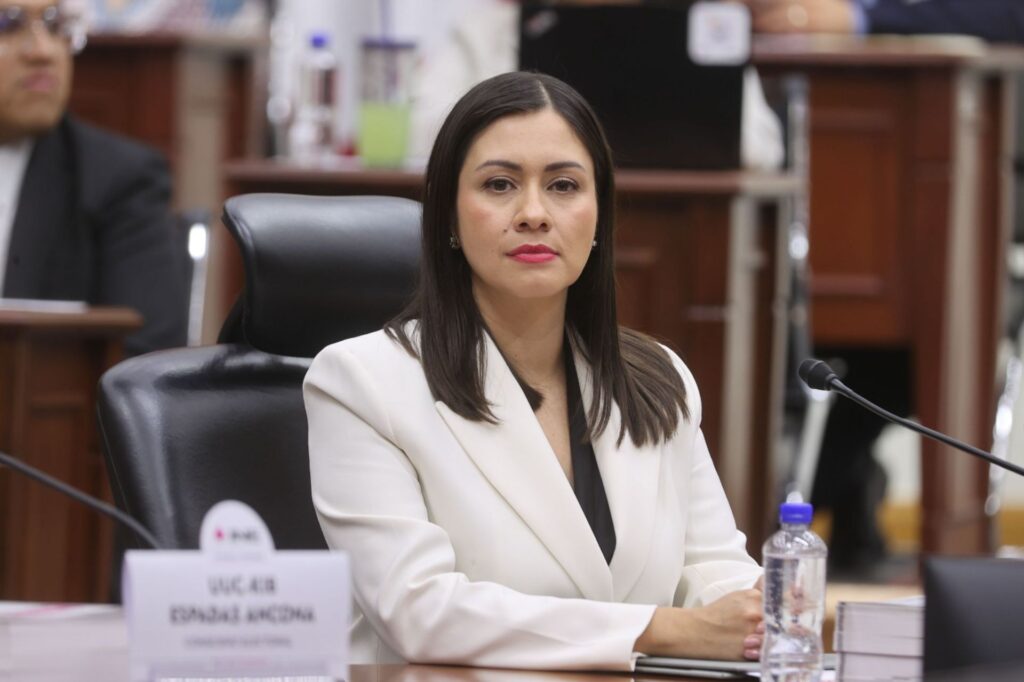 Blanca Cruz es designada como presidenta provisional del INE