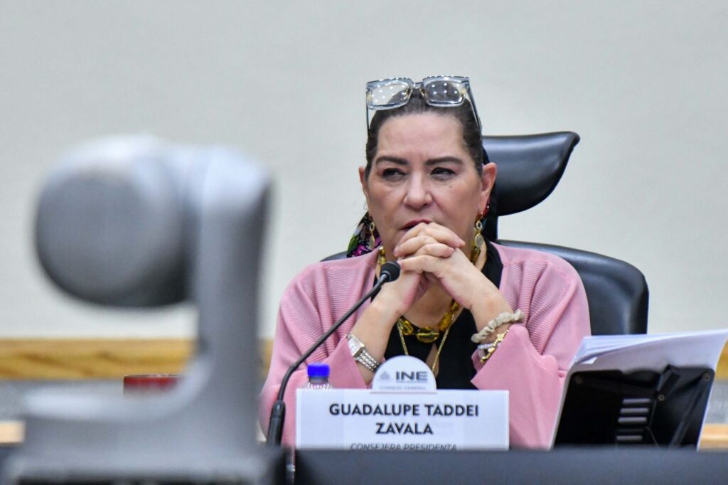 Guadalupe Taddei presenta su renuncia al Instituto Nacional Electoral