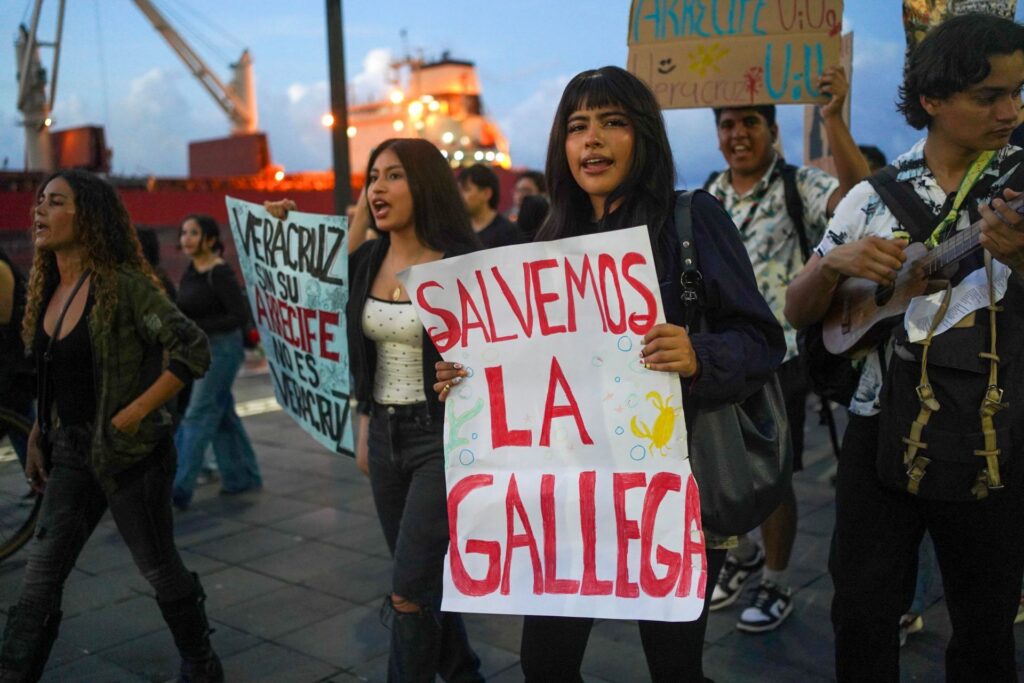 La Gallega resiste: marchan por un arrecife sepultado por obras de la SEMAR en Veracruz La Gallega resiste: marchan por un arrecife sepultado por obras de la SEMAR en Veracruz
