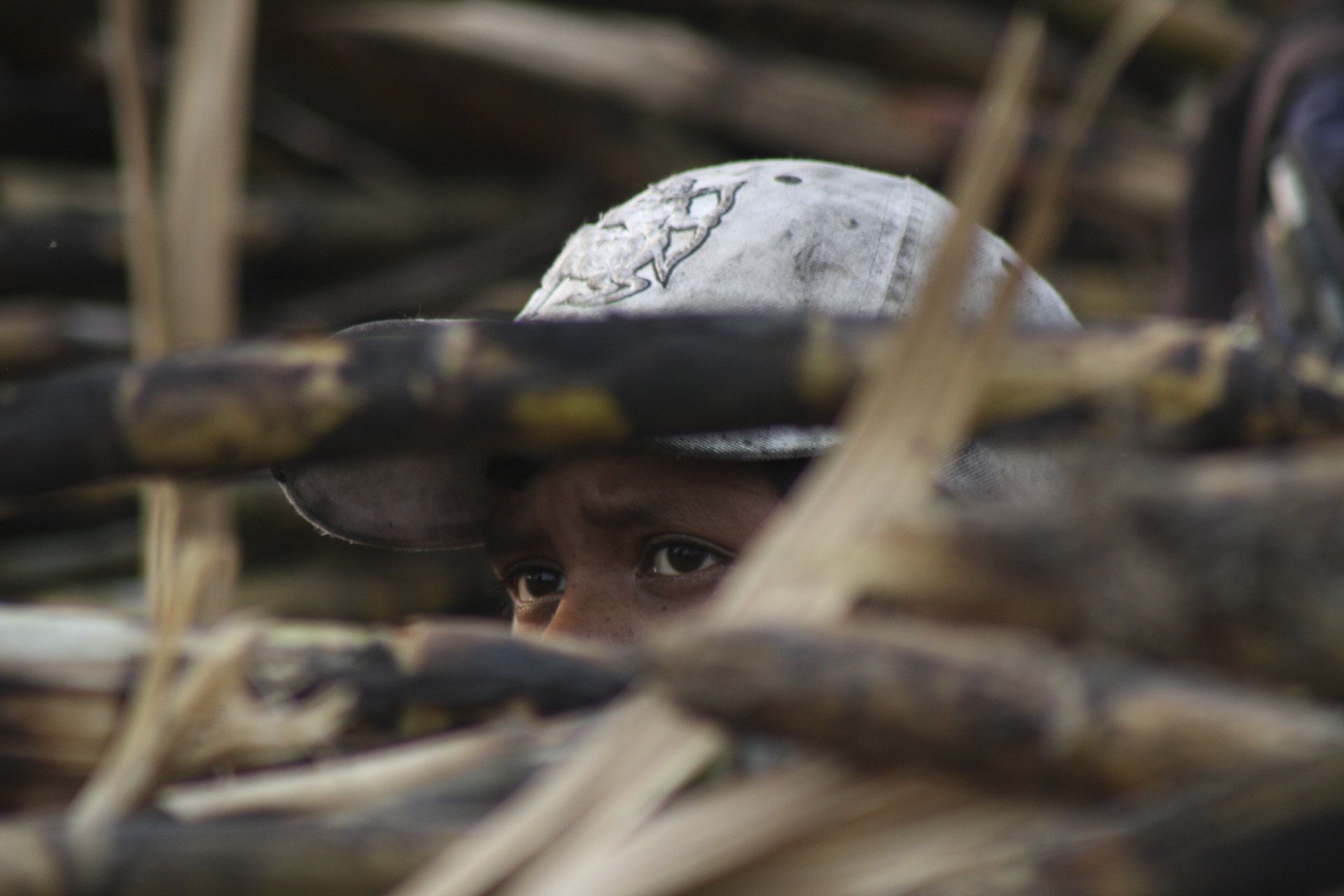 3.5 millones de niñas y niños situación trabajo infantil en México 3.5 millones de niñas y niños situación trabajo infantil en México