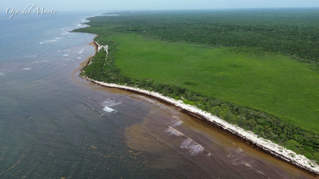 La amenaza a Punta Venado