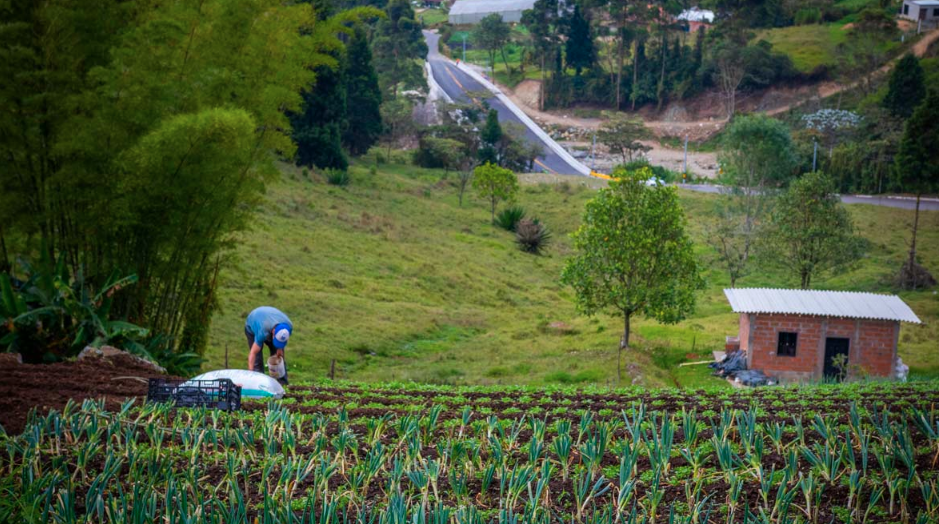 Menos comida y más cara: El Niño amenaza los alimentos y la pesca en Latinoamérica